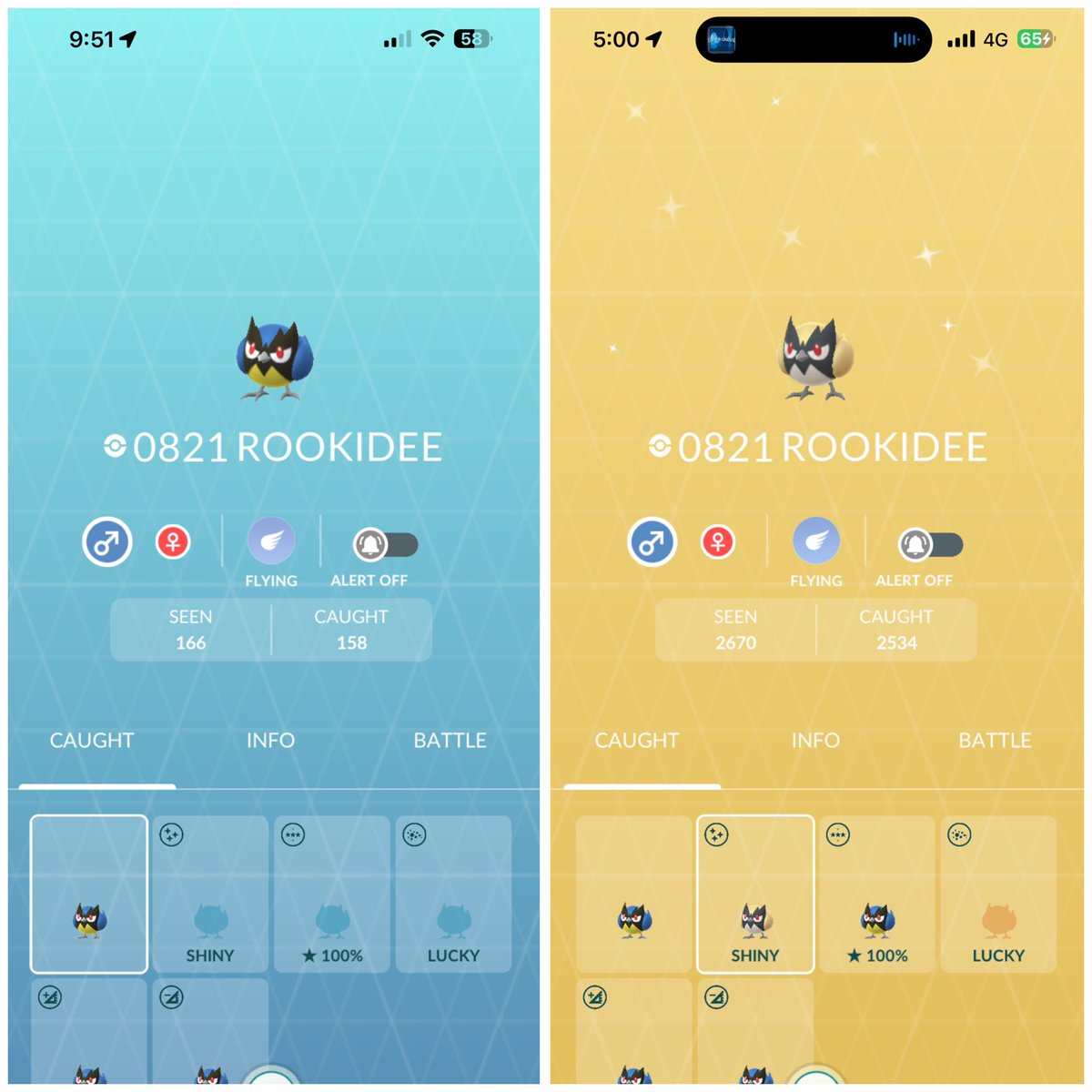 ausbubbles's tweet image. 🐦✨100 SHINY ROOKIDEE!!!✨🐦

2376 caught - NEW PB!!

#PokemonGO