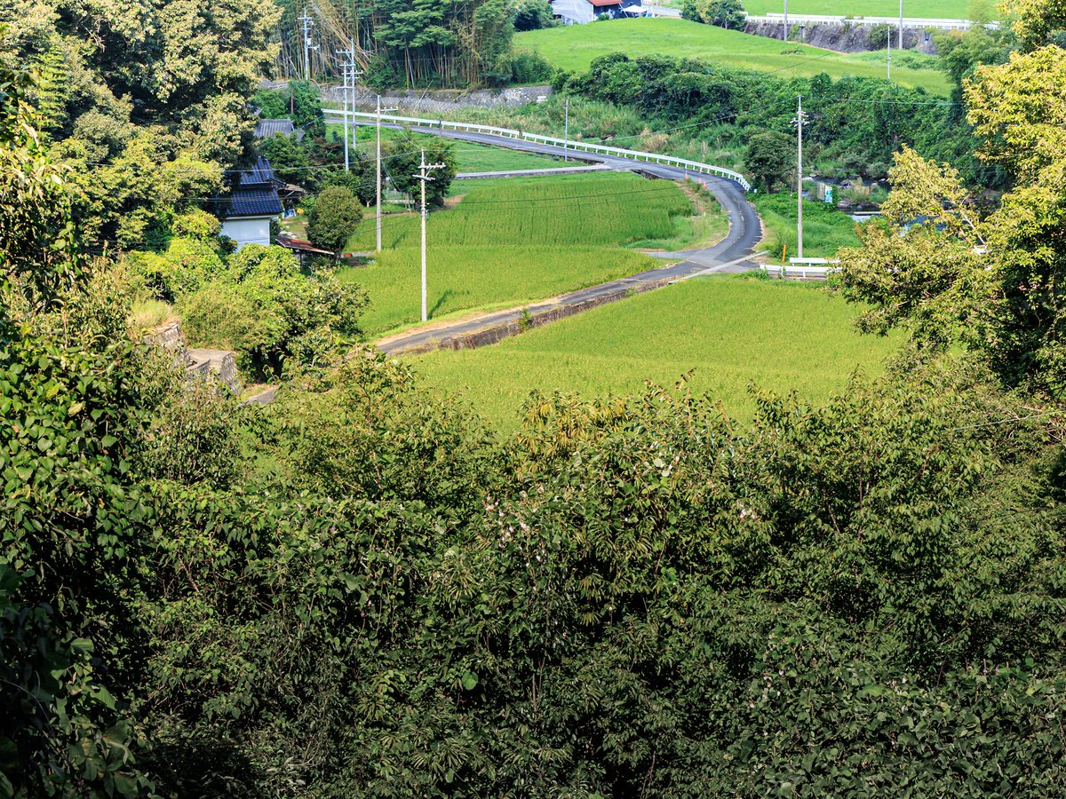 あの夏の日、とんでろじいちゃん
新尾道三部作の三作目
バスで潮干狩りに行くシーン