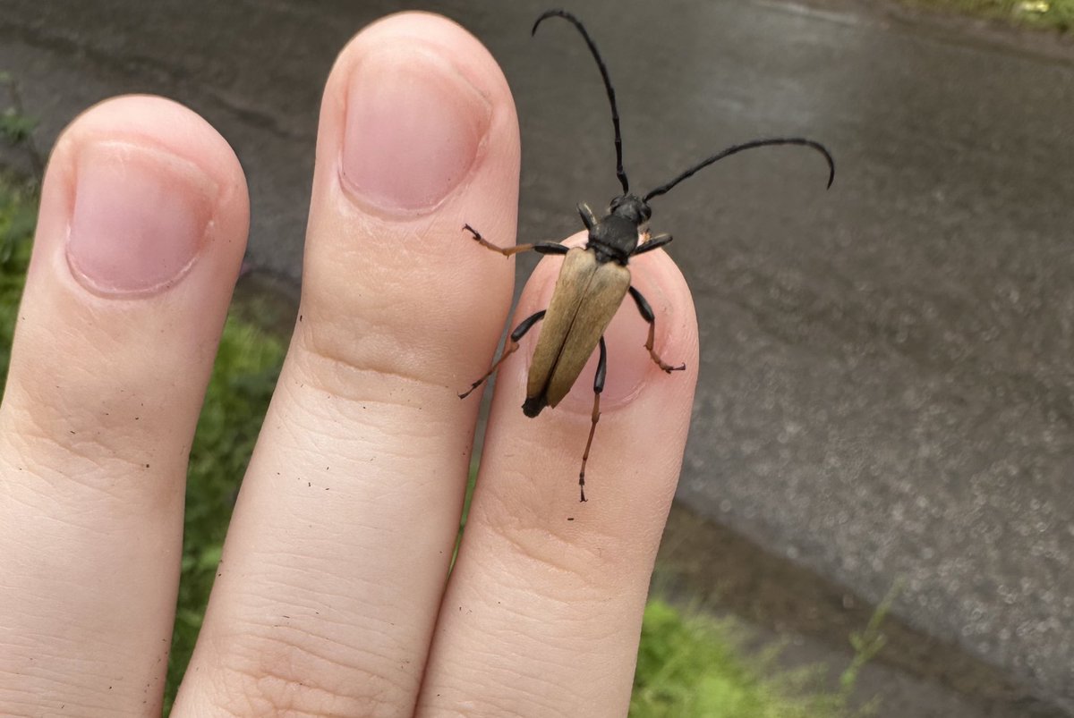 Меня особо не читают школьники, конечно, но сюда закину тоже на всякий. 
Буду рада репостам. 

Обращаю внимание, что со взрослыми (выпускниками прошлых лет) я тоже с большим удовольствием работаю, пишите в ДМ или в телеграм (ниже qr)

жук для привлечения внимания 

😌😌😌