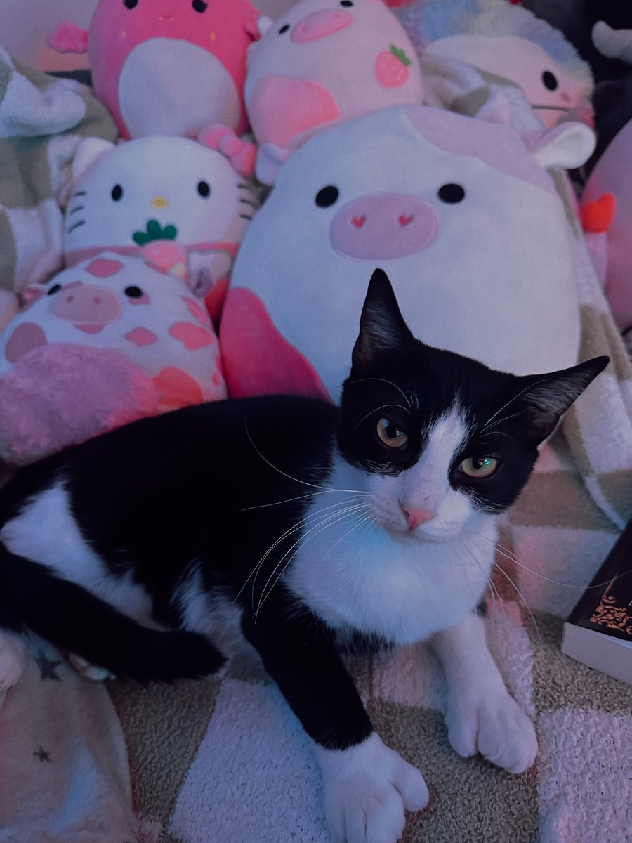 えりな つきたに (@tobeybensonm) on Twitter photo 