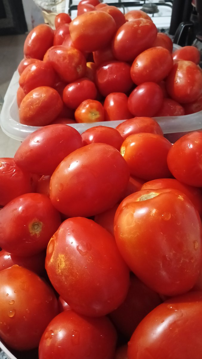 Kış hazırlığı başlamıştır