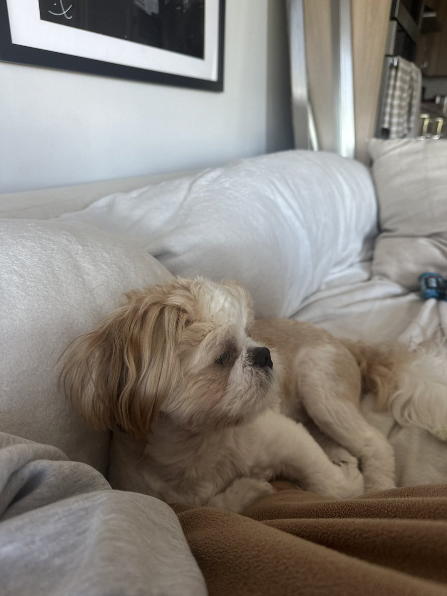 Get ready to learn college football buddy