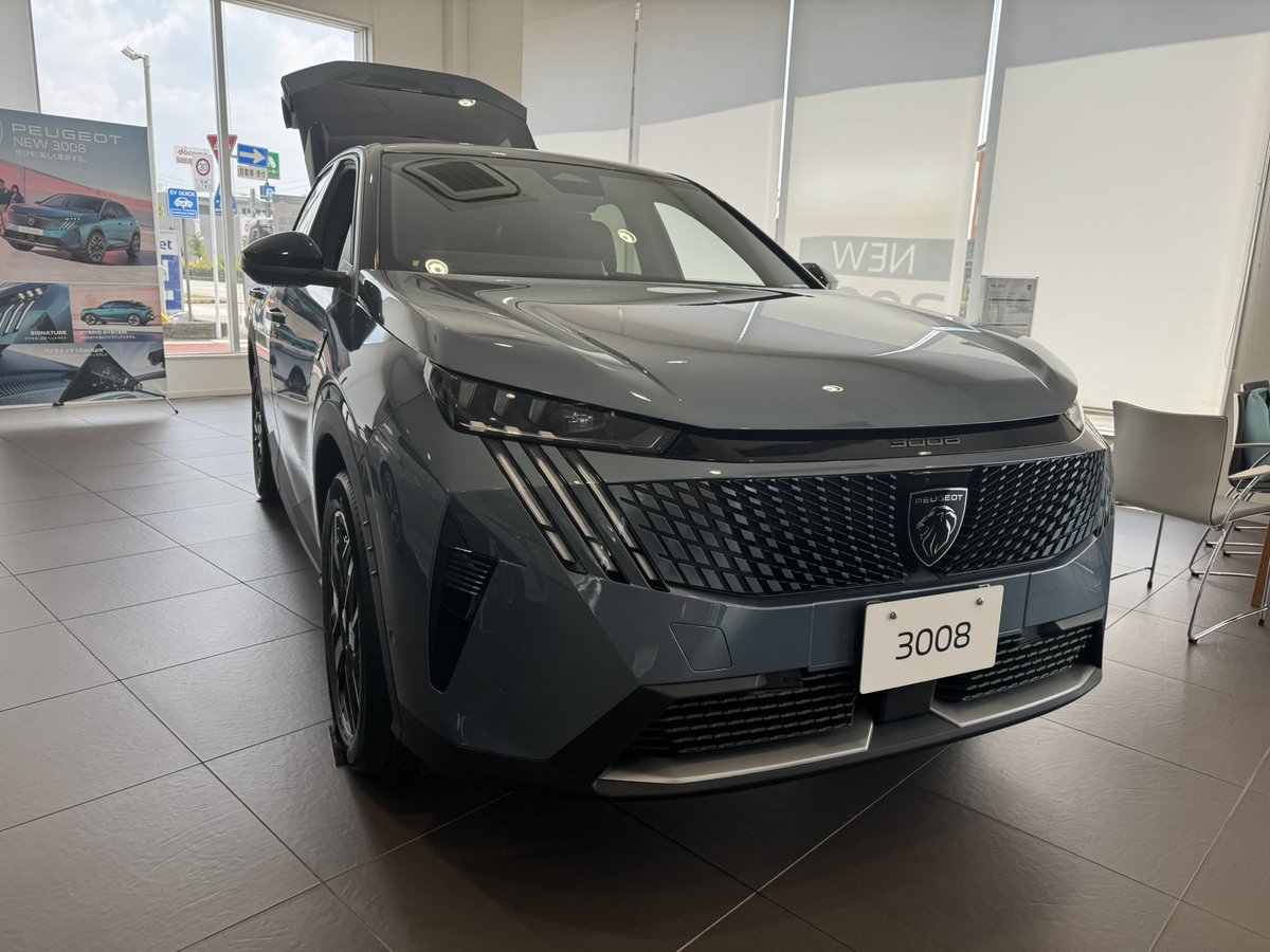 ティート　マンドラゴラベビー　未開封　白系 げん on X: 