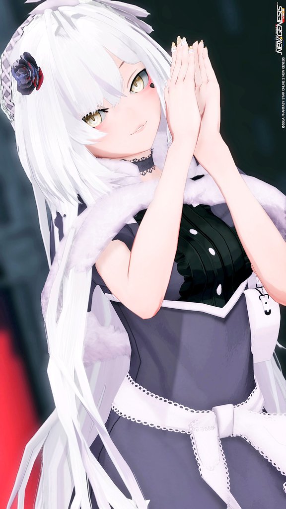 #PSO2NGS #PSO2NGS_SS