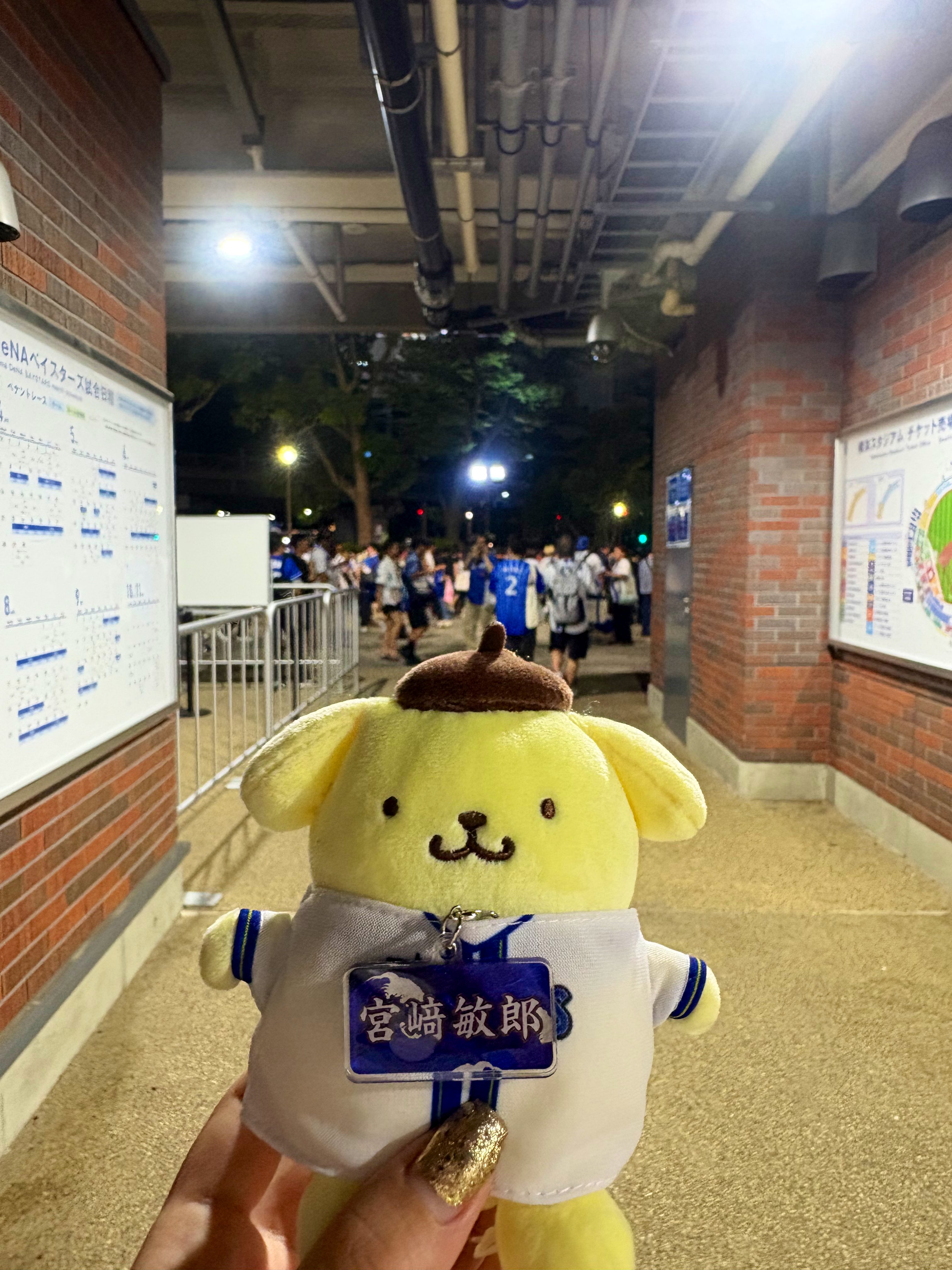 ポムポムプリン　てるてる坊主　タグなし Amazon.co.jp: sanrio: ポムポムプリン