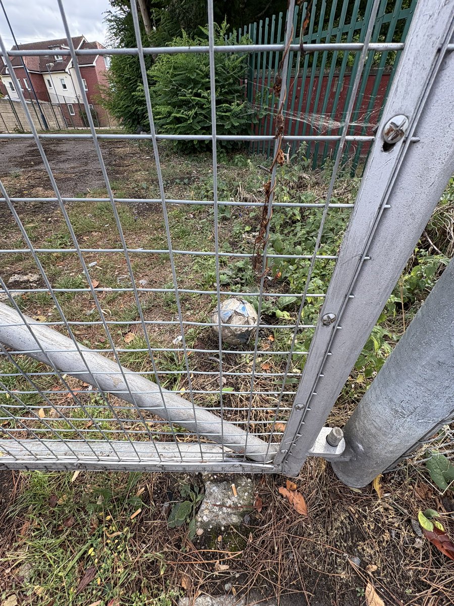 LeMulanRuggio's tweet photo. @Lostfootballs 
Spotted the oldest looking lost football ever seen today https://t.co/OUxQaczmOR
