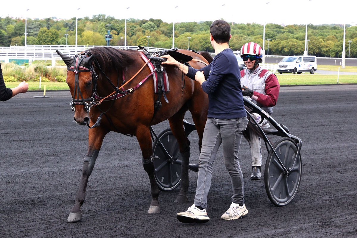 🏆🥇 𝑴𝑨𝑮𝑰𝑪 𝑵𝑰𝑮𝑯𝑻 𝒄𝒐𝒏𝒇𝒊𝒓𝒎𝒆 𝒔𝒐𝒏 𝒓𝒂𝒏𝒈 𝒅𝒆 𝒎𝒆𝒊𝒍𝒍𝒆𝒖𝒓𝒆 𝒇𝒆𝒎𝒆𝒍𝒍𝒆 𝒄𝒉𝒆𝒛 𝒍𝒆𝒔 𝟑 𝒂𝒏𝒔 !

À quelques jours du lancement des Ventes de Yearlings Sélectionnés 2025 et à deux semaines du Critérium des 3 ans, la représentante de Philippe Allaire