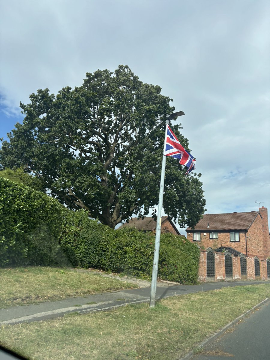 Daz Pace tweet media