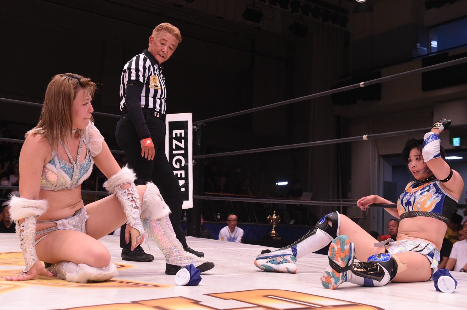 女子プロレス　マリーゴールド　ランダムアクリルスタンド　ロッシー小川 Amazon.co.jp: 女子プロレス マリーゴールド ランダムアクリル