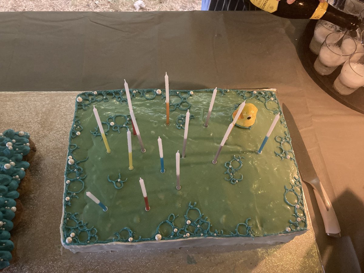 Future Lidos tweet media