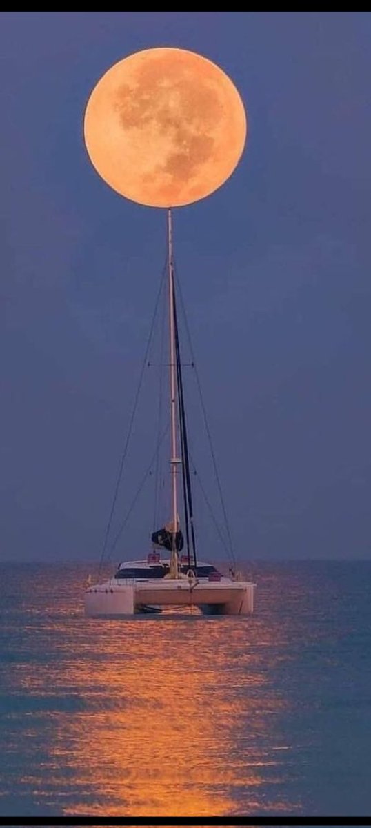 سعد الفراج (@s_alfarraj_2021) on Twitter photo 