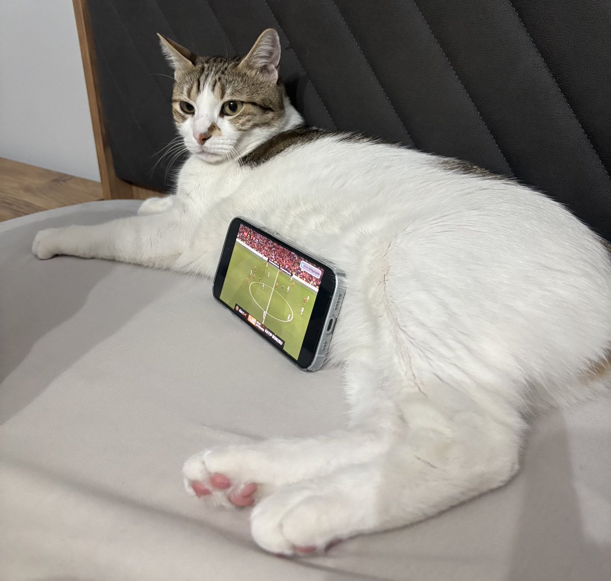 Temudan aldığımız yeni telefon tutacağı haneye hayırlı olsun. Biraz büyük geldi ama memnun kaldık