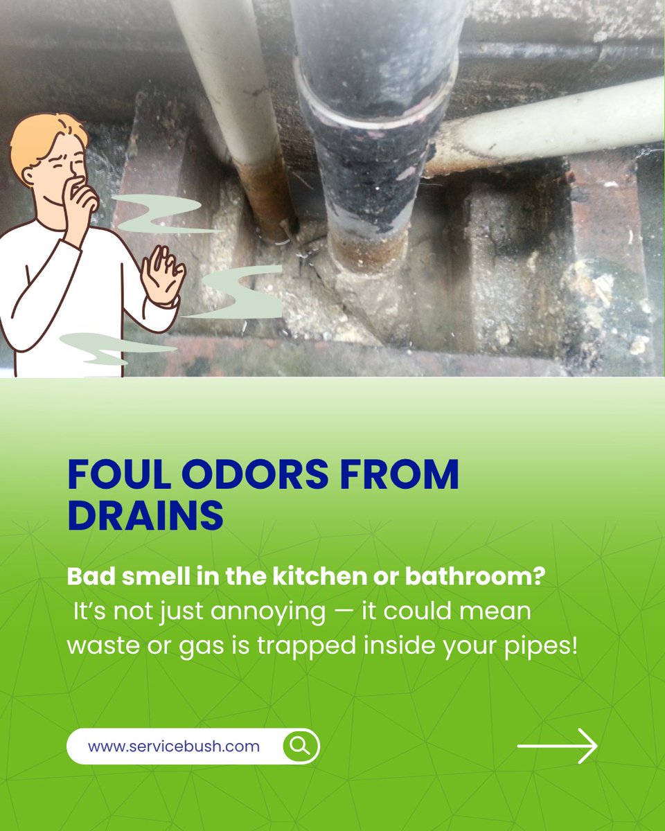 ServiceBush's tweet image. 🛑 Slow drains
🛑 Bad smells
🛑 Gurgling sounds
🛑 Mold on walls?

These are signs your drainage line is failing!

Let Service Bush fix it before it floods into a bigger problem.
📞 Book today!

#DrainageProblem #ServiceBush #HomeCare #Plumbing #LeakDetection #BlockedDrain