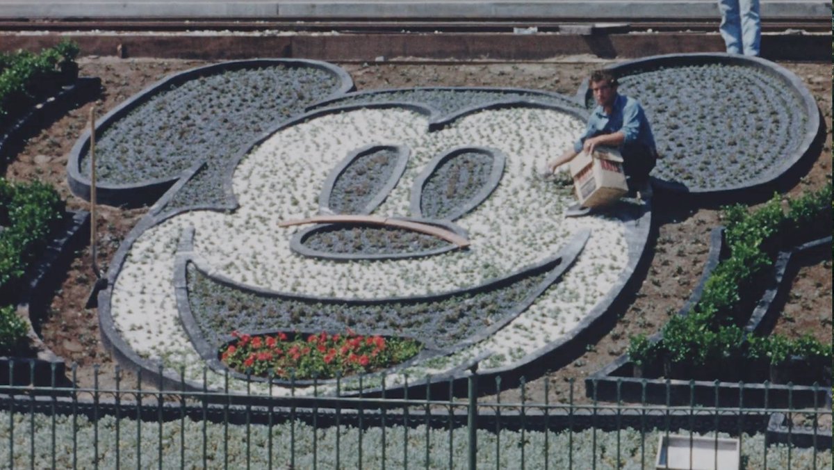 DisneyParks tweet picture