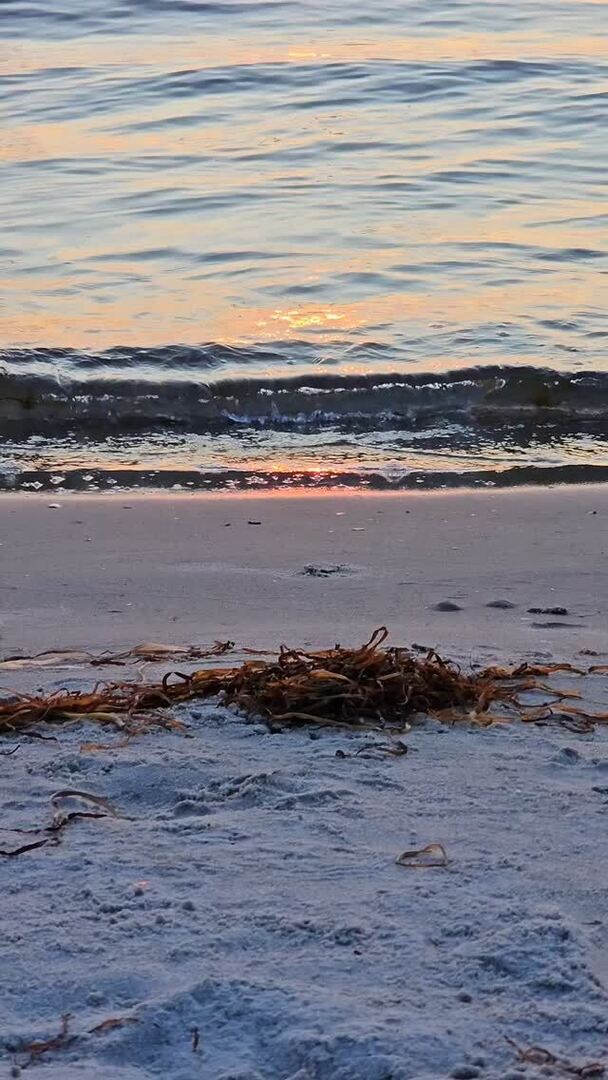 Ein Augenblick. Ein Gefühl. Ein Sonnenuntergang am Meer 🌅

👉 Für mehr magische Momente: Folgt mir.

#hiddensee #meerverliebt #meer #hiddenseeforum #inselhiddensee #sonnenuntergang #inselliebe #hiddenseeliebe #ostseeliebe⚓️ #ostseestrand #sonnenuntergan… instagr.am/p/DN_abtRirip/
