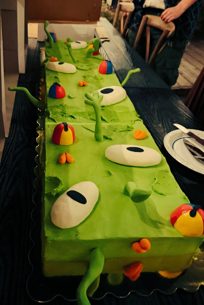 AggroCrabGames's tweet image. threw a party last night and had a bing bong cake what do we think