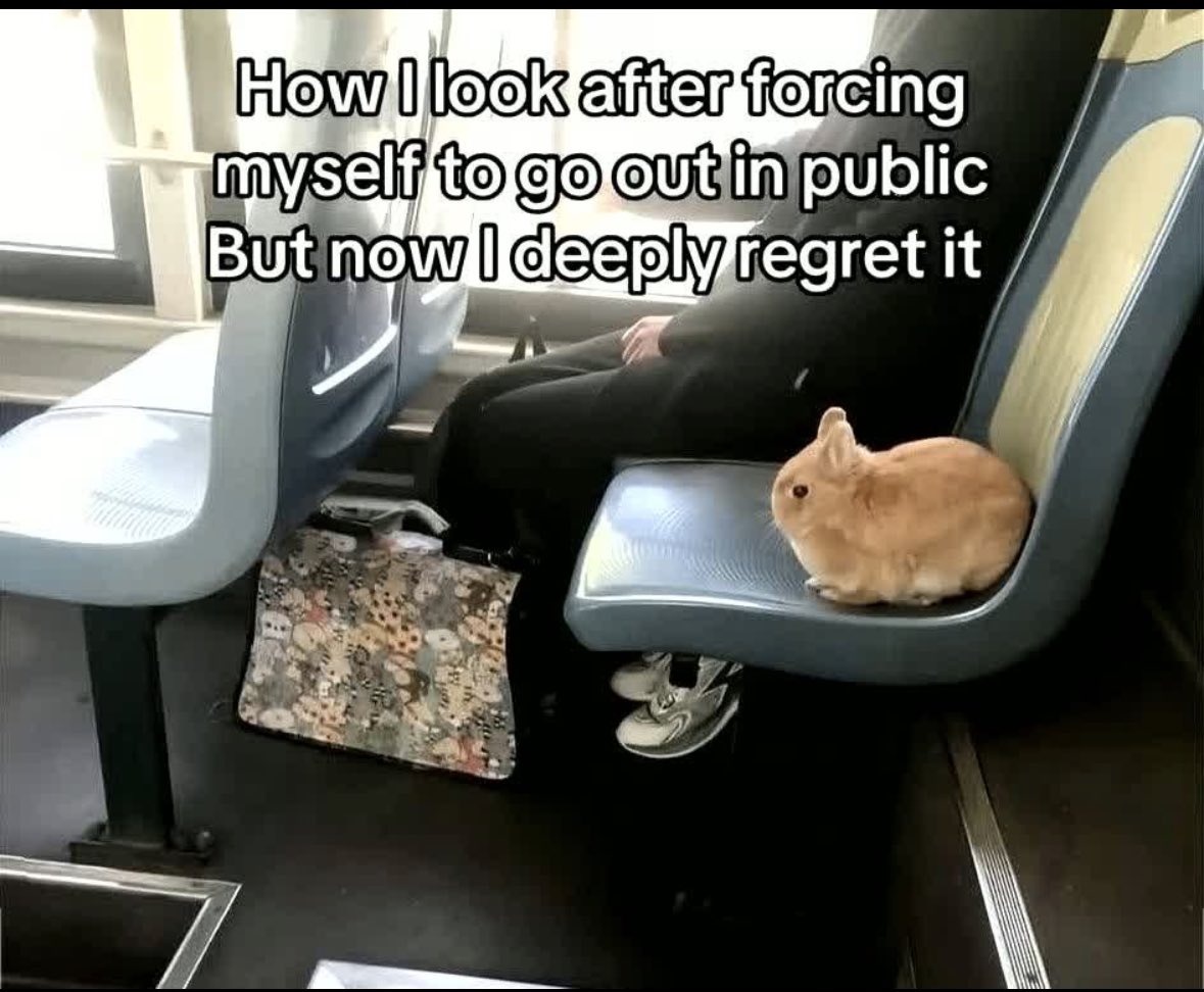 ADHD Memes (@adhdforreal) on Twitter photo 