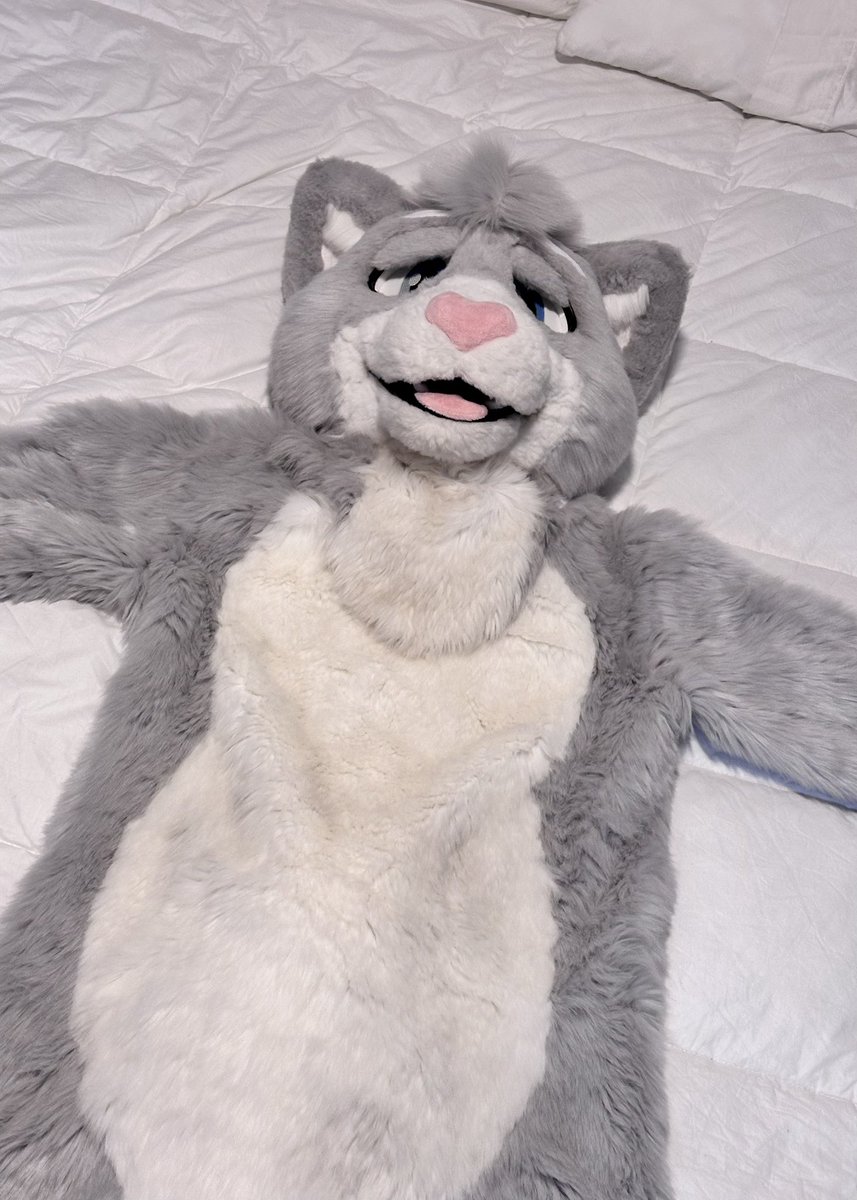 Guys who deflated my cat wtf!? 😭