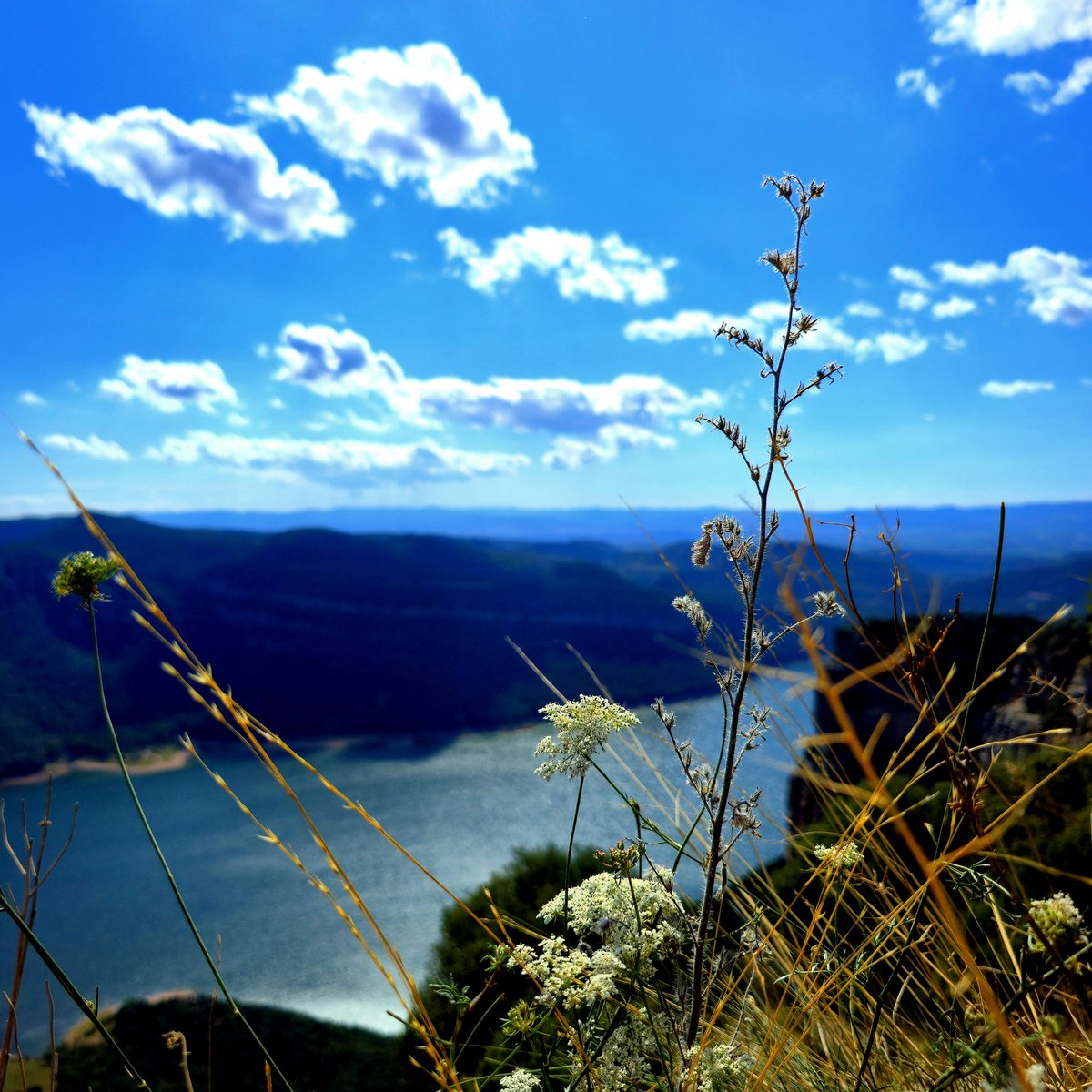 Dissabte de respirar a #Tavertet #Sau #Osona #Barcelona #Dissabte #Click 📷
