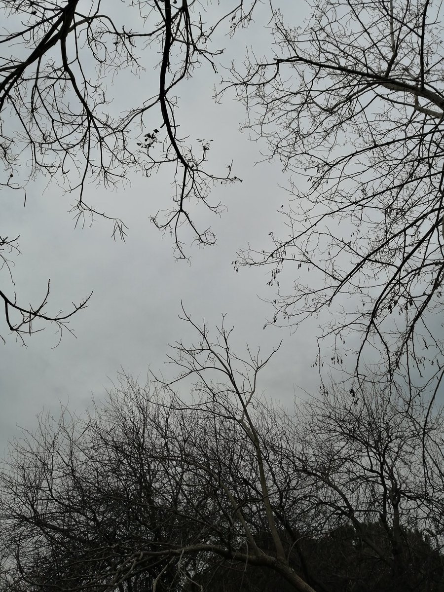 devilinsideus_'s tweet image. Canım kasvetli havada saatlerce yürüyüş yapıp overthinklemek çekti birdenbire.