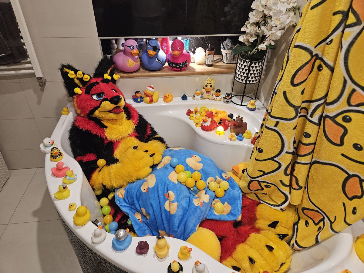 🐤 Duck bath 🐤