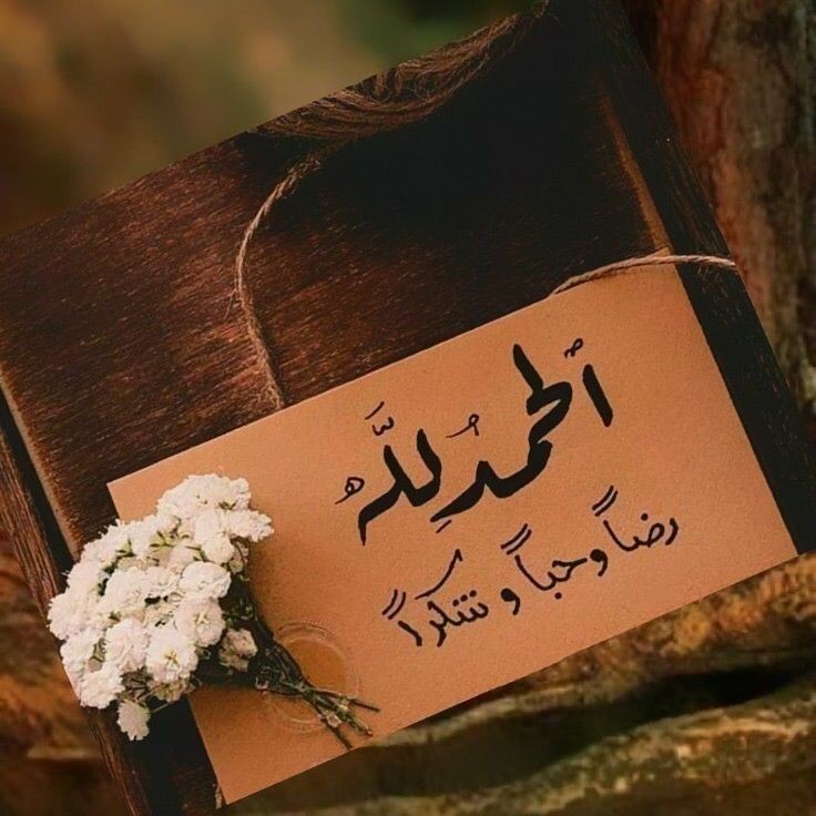 Mahad Alle ha u sugnaato mahad aan dhammaad  lahayn waxa  khayr iyo nimco Alle ina siiyay🤲