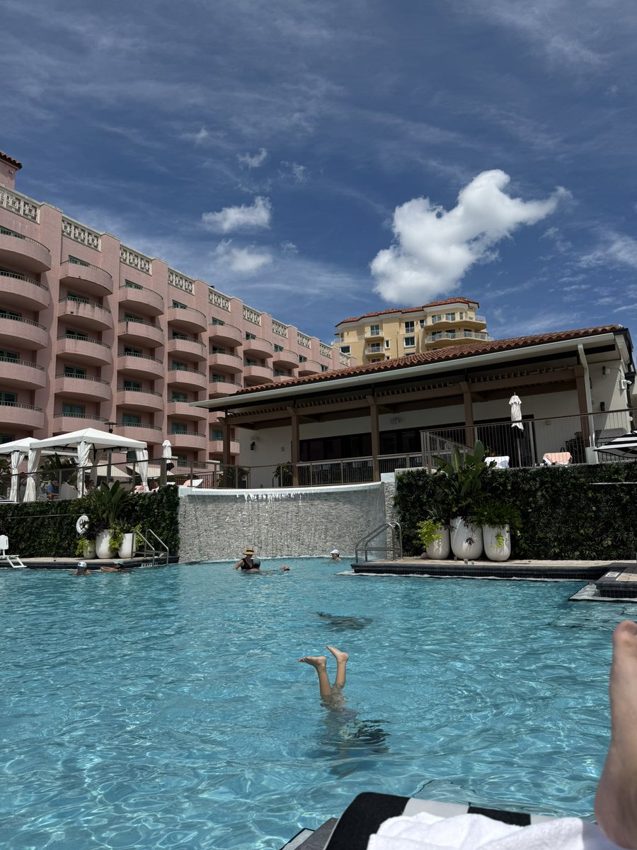 brendanmcdowell's tweet image. It’s a beautiful day for a beautiful day.

#threedayweekend #stpete #vinoy #marriottbonvoy