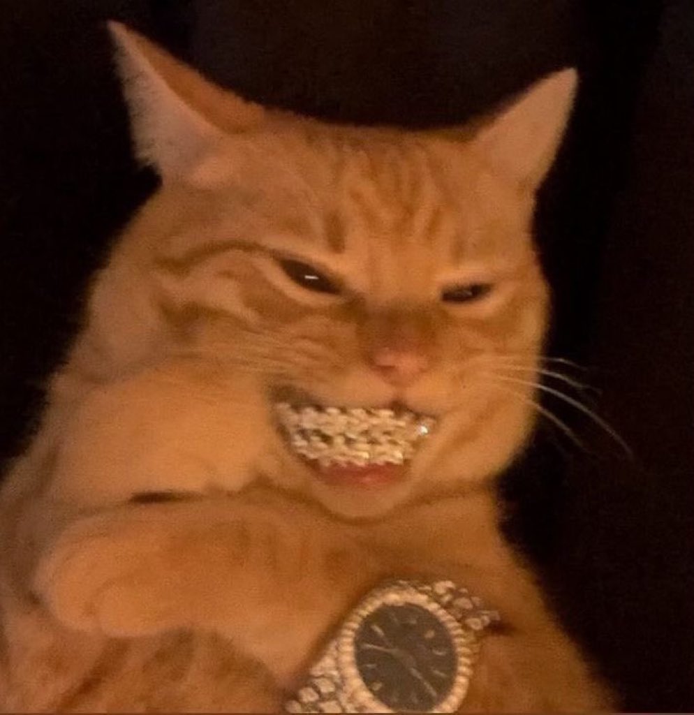 It's on-chain ! 

It's in the <a href="/FogoChain/">Fogo</a>  community 

It's the energy of a united community and you're very early too.

This cat just stumbled on a gem called <a href="/furbocoin/">Furbo</a> 

If you know, you know. 

Words on the street is that their discord is open and OG pills are still going out.