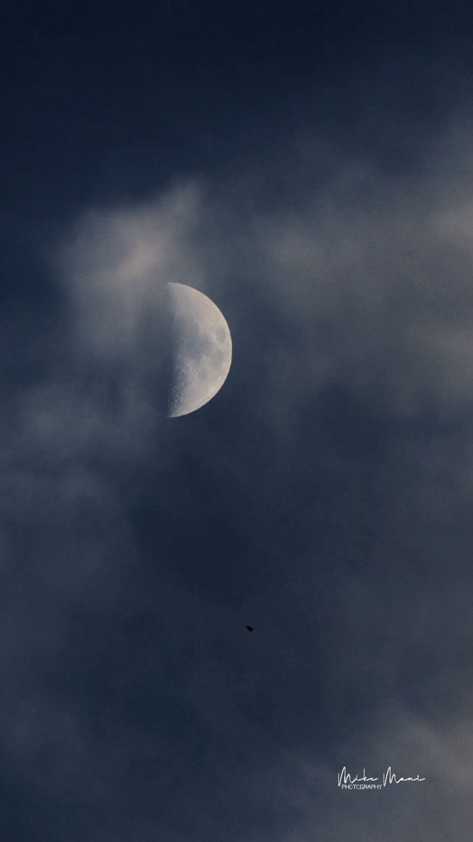 MikeFotoLife's tweet image. #lunacreciente
#sunsetvibes
#moonmagic
#cosmos
#parati