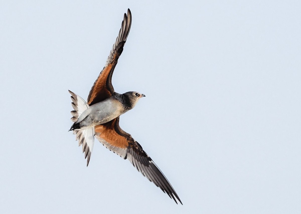 عناق السماء 🙏🏼🩵
•
صور اليوم في #الرياض