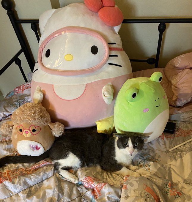 Don't mess with him he's gangsta