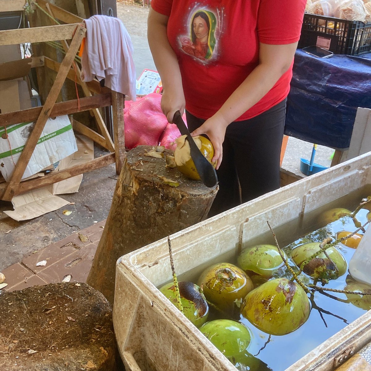 datn474's tweet image. Ghé qua chợ nông sản Miami. Nơi có đầy đủ các hoạt đông và mặt hàng bán buôn ngày cuối tuần