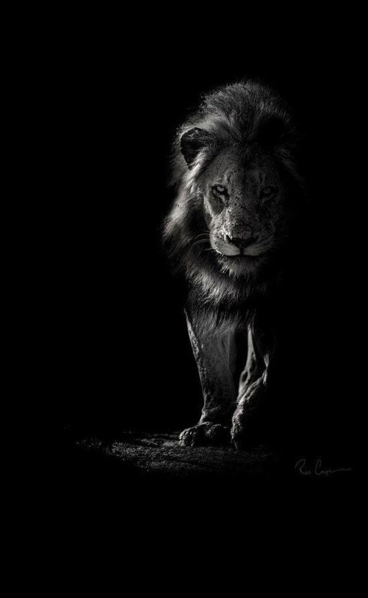 Düştüğün kuyu sandığın kadar derin değil

Tutunmaya çalıştığın ip kısa 

Soruna değil, çözüme odaklan 

İyi tatiller