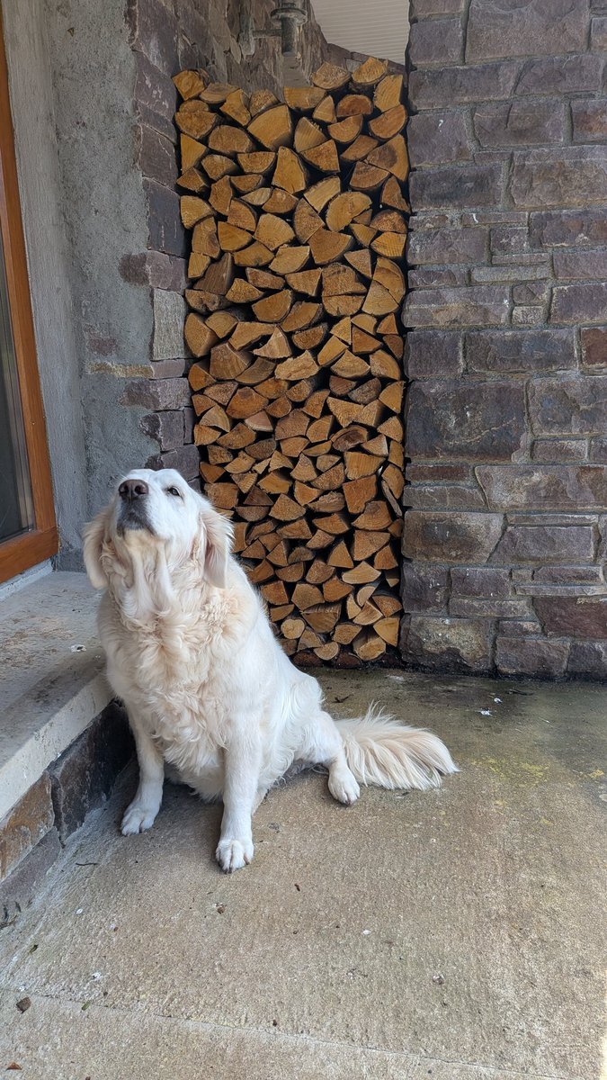 Chris (@chris_byrne) on Twitter photo I could stack wood all day long. I could stack wood all day long.