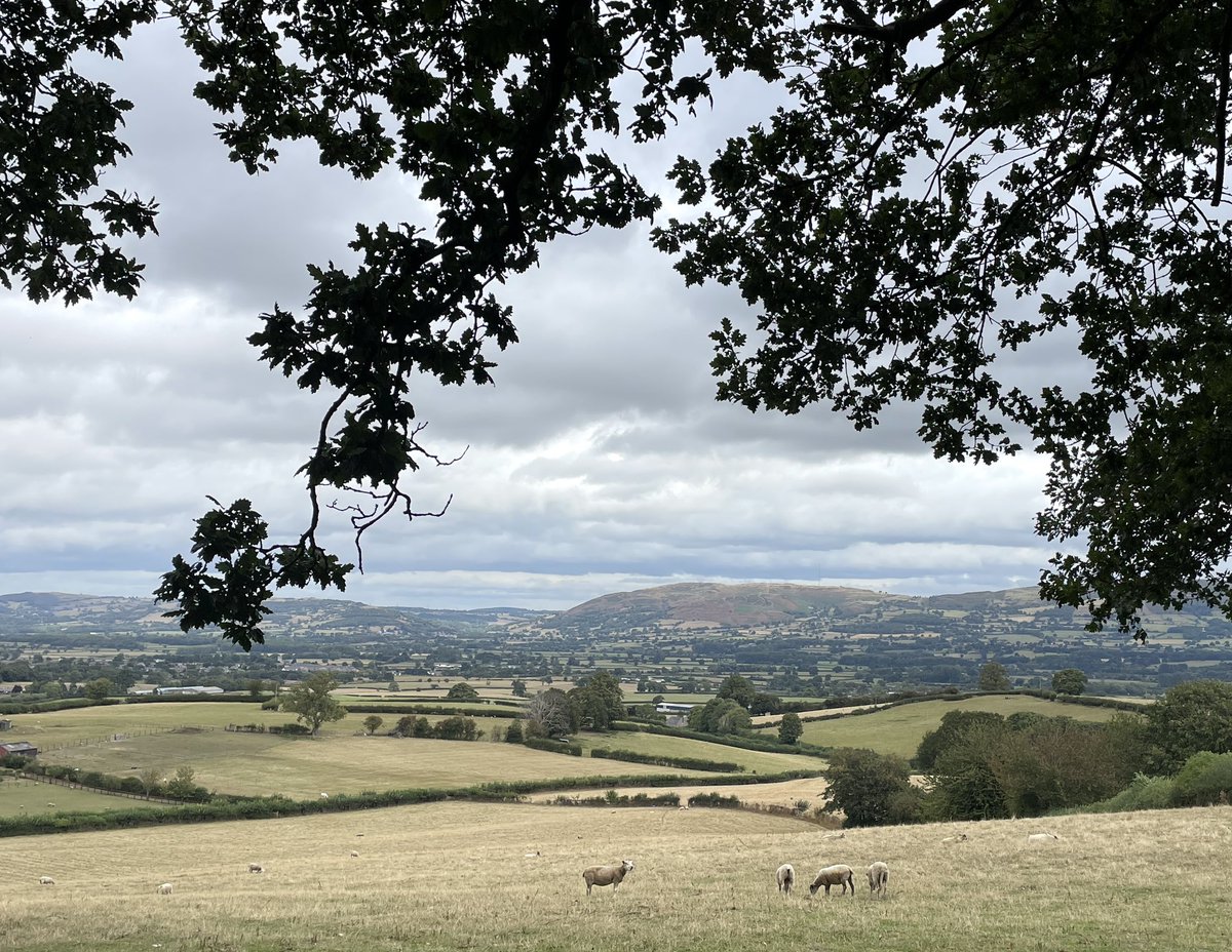VCRamblers's tweet photo. Seventeen of us were on the Llanrhaeadr walk today. We visited St Dyfnog’s Church and Well,  and the predicted rain never arrived! Thanks to Yve for leading 
@RamblersCymru @RamblersGB @NorthWalesWalks https://t.co/DuG62ooPQH