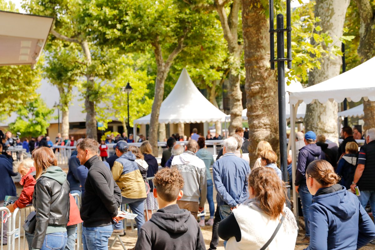 Province Courses / 24H au trot tweet media