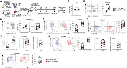 Waggoner Lab (@labwaggoner) on Twitter photo Lpar5 regulates the CD8 T-cell response to persistent virus infection by altering exhaustion programming, survival, and NK receptor expression <a href="/J_Immunol/">The Journal of Immunology</a>
academic.oup.com/jimmunol/advan… Lpar5 regulates the CD8 T-cell response to persistent virus infection by altering exhaustion programming, survival, and NK receptor expression <a href="/J_Immunol/">The Journal of Immunology</a>
academic.oup.com/jimmunol/advan…