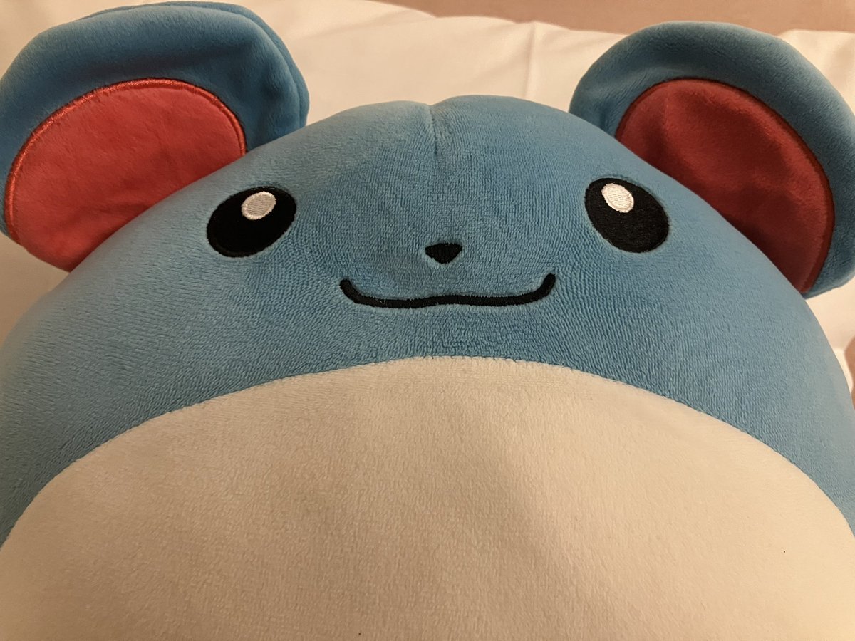 とりあえずまりるちゃんと寝ます