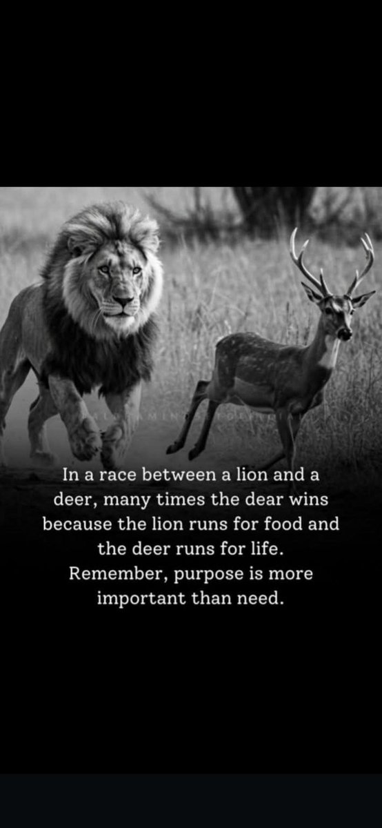 MrVie111's tweet image. When you were playing for 75k, chazunguza was playing for survival. Purpose is stronger than need. Plus hombe ihombe.
#chazunguza
#dembare 
#7million+
#hainangozi
#ochestravazvamburi