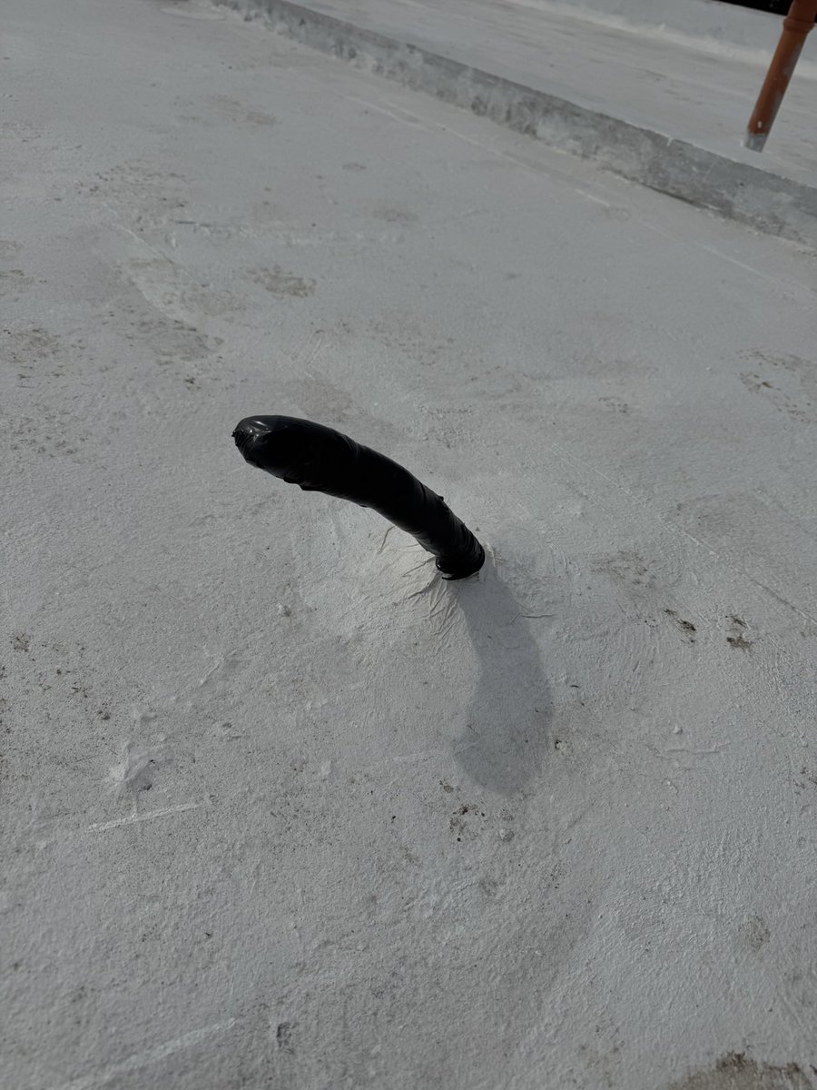 goncy.tsx tweet media