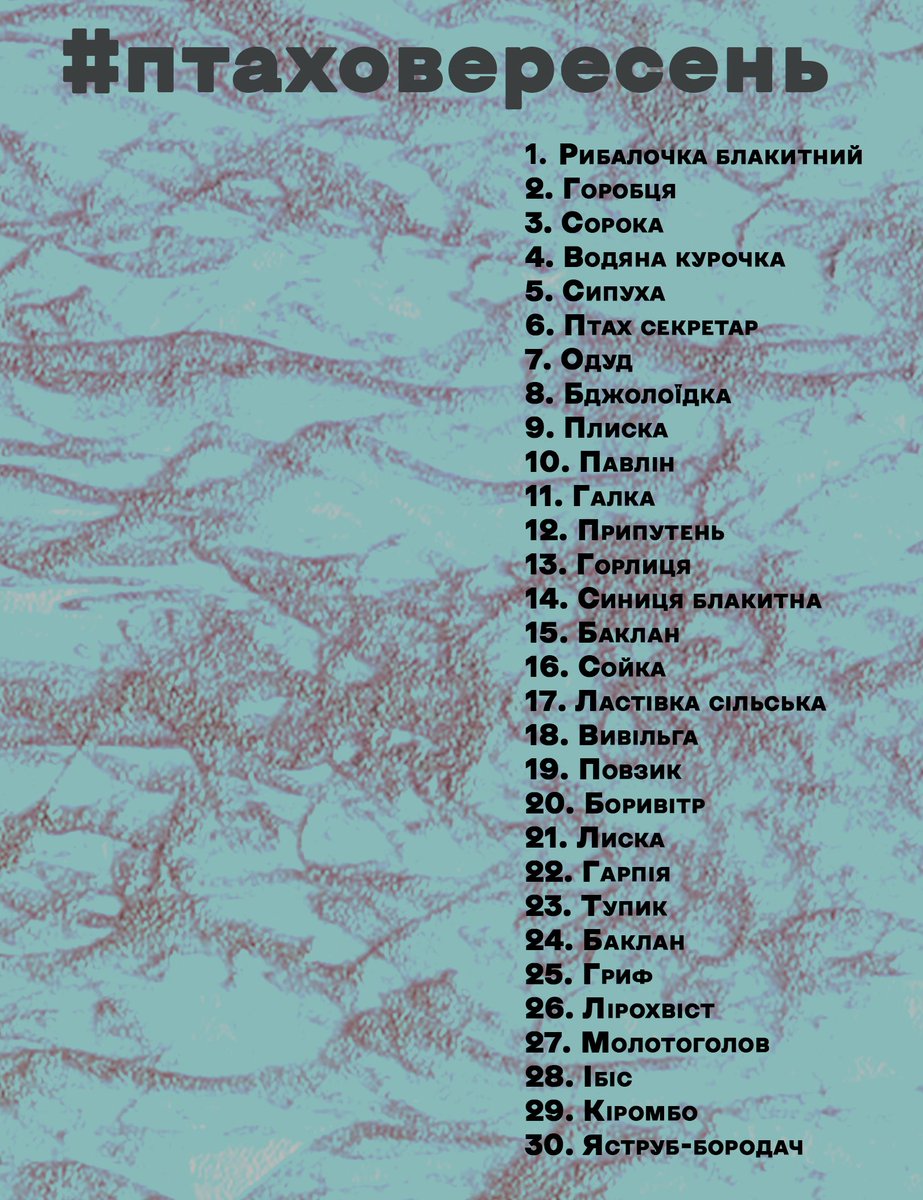 Теми #птаховересень якшо хтось захоче приєднатись малювати птахів! :)