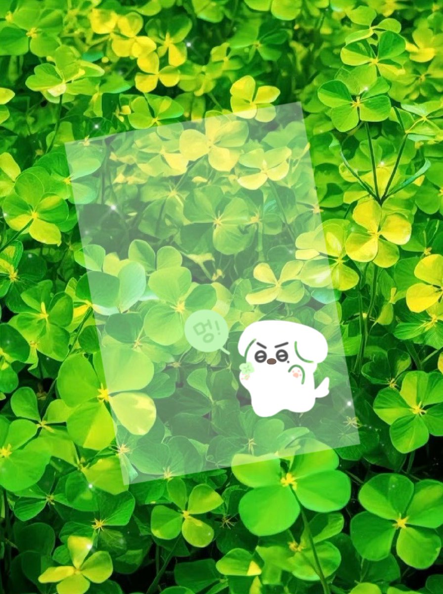 #에릭

我太喜欢四叶草了💦