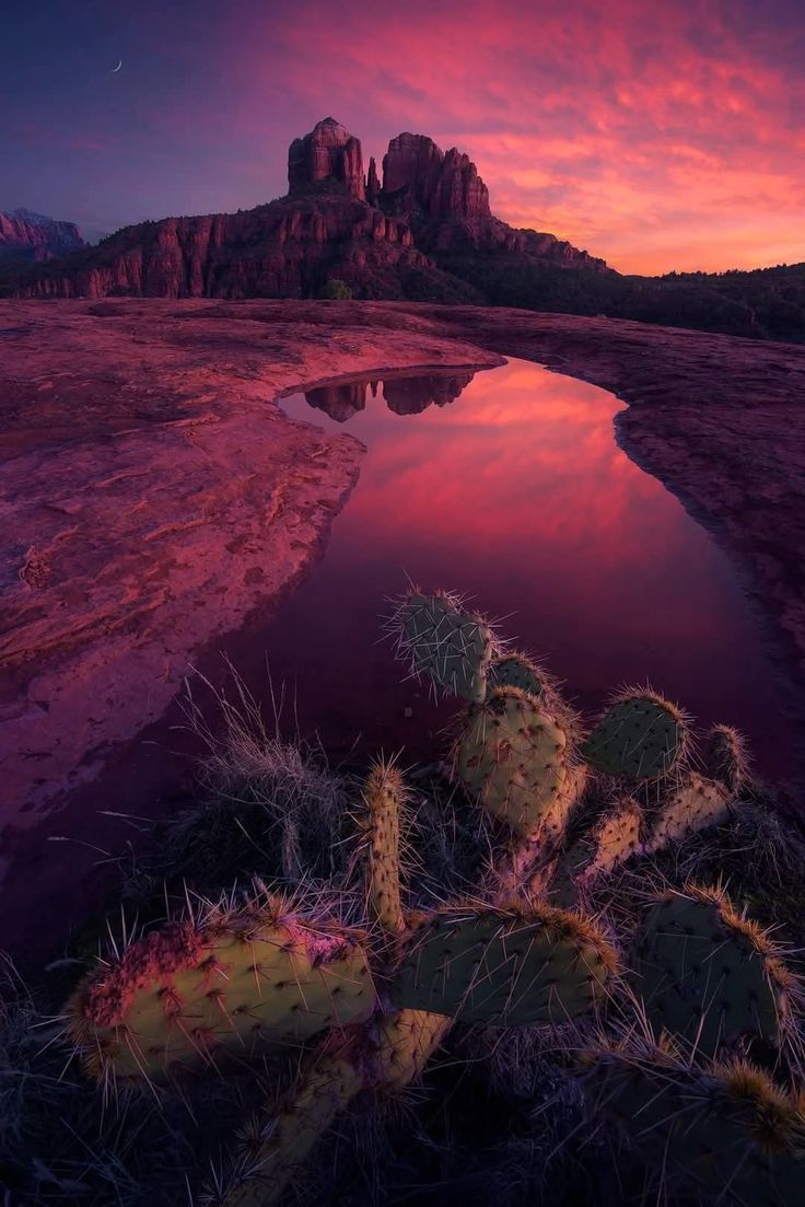 #evening
#NaturePhotography

📸 Tumblr