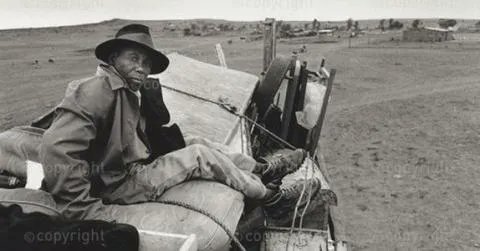 HistorySAZAR's tweet image. The Mogopa removal was the forced removal of the Bakwena ba Mogopa community from their ancestral land in Mogopa to Pachsdraai between 1983 and 1984 by the Apartheid government.