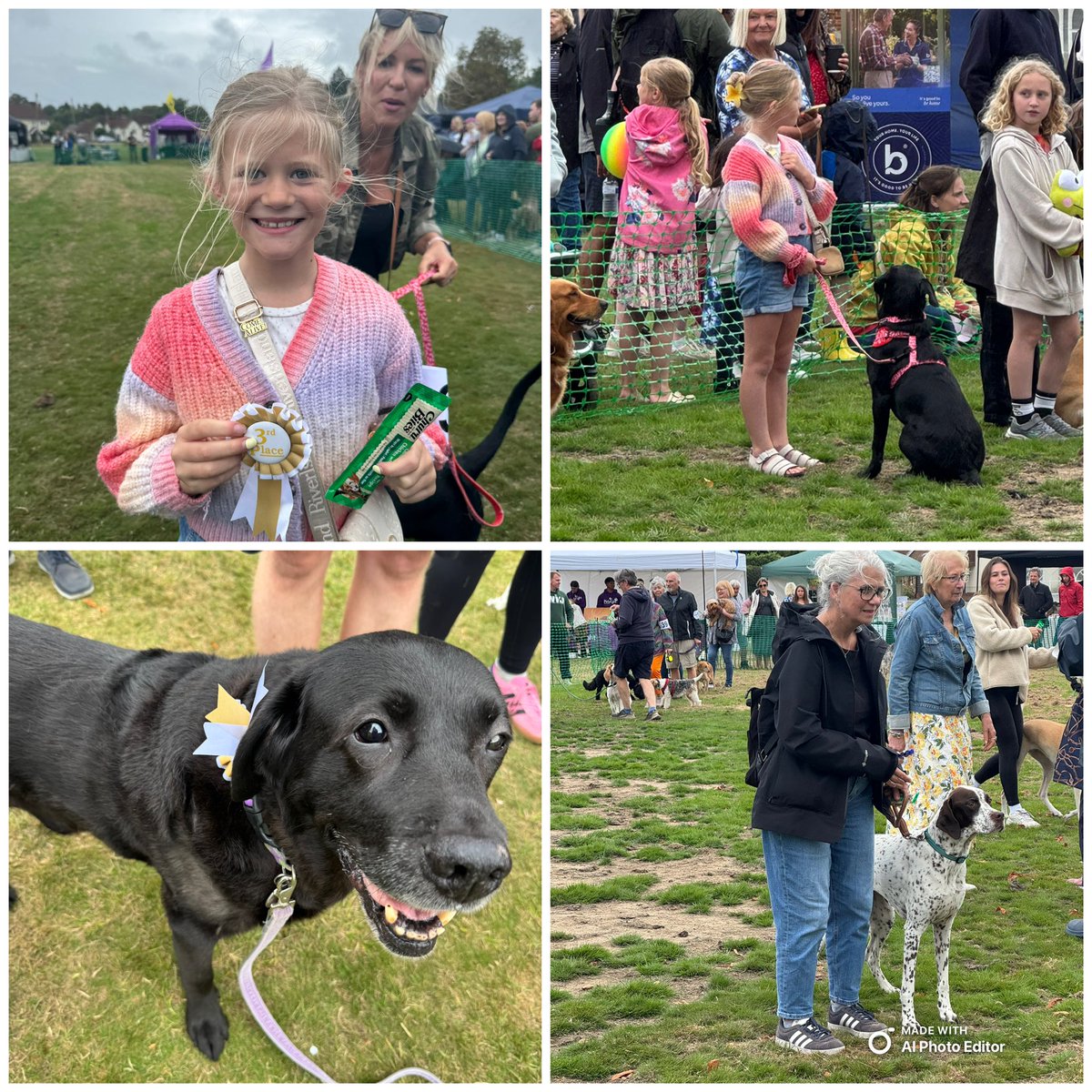 #PirbrightVillageShow
#dogshow #winners 
MaggiePup and Lola 3rd Young Handler 
Moi (Olive) 3rd Veterans 
PoppyPointer 1st Prettiest Bitch