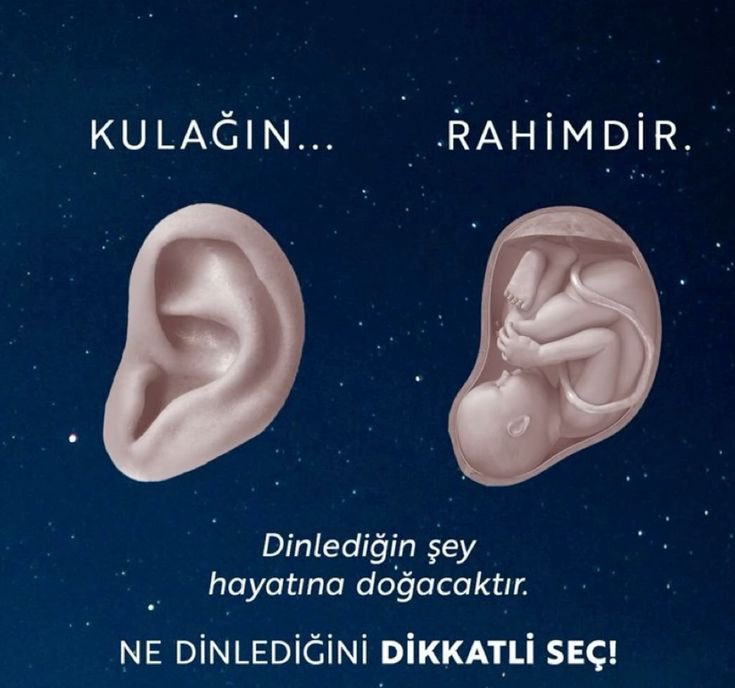 Monna Rosa (@ayaserenat) on Twitter photo 