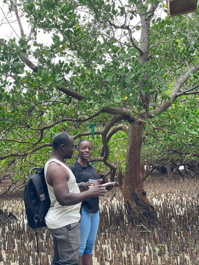 SoahubTz's tweet photo. Our work in Bagamoyo shows that when communities are engaged, projects don’t just succeed they thrive. ✨

From beehives in mangroves to alternative livelihoods, the Bagamoyo Entrepreneurs Group (BEG) proves that true conservation grows through ownership &amp; shared responsibility. https://t.co/rz6MEMjJNR