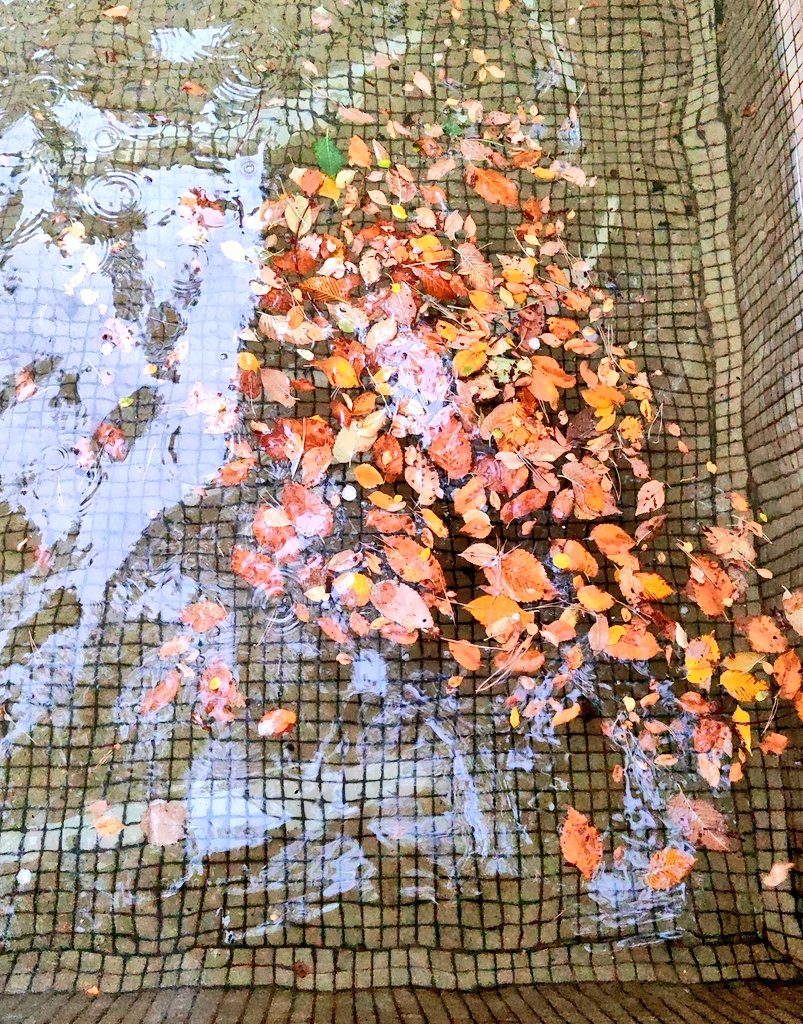 ソニックの足 (@mankipox) on Twitter photo 