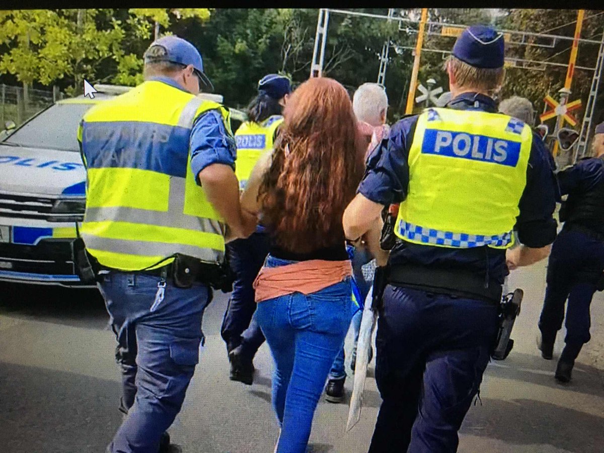 MadeleineD71600's tweet image. Antisemitiska slagord, hitlerhälsning, störande av allmän sammankomst, ofredande var några av brotten tre motdemonstranter gjorde sig skyldiga till i #sölvesborg när Jimmie Åkesson höll sitt traditionella sommartal inför en stor församlad skara. - &quot;Inga nazister på våra gator&quot;.