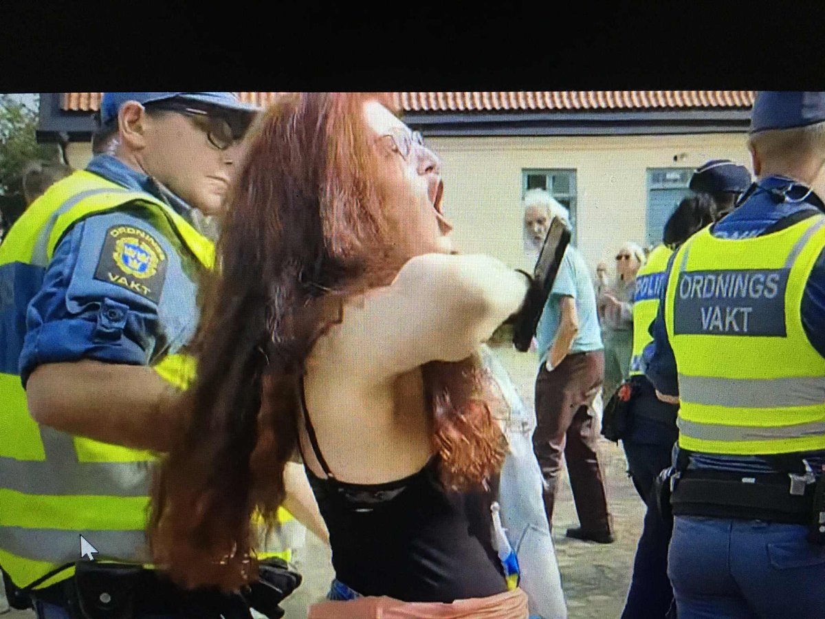 MadeleineD71600's tweet image. Antisemitiska slagord, hitlerhälsning, störande av allmän sammankomst, ofredande var några av brotten tre motdemonstranter gjorde sig skyldiga till i #sölvesborg när Jimmie Åkesson höll sitt traditionella sommartal inför en stor församlad skara. - &quot;Inga nazister på våra gator&quot;.